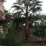 Tepe Villa Resort 1614